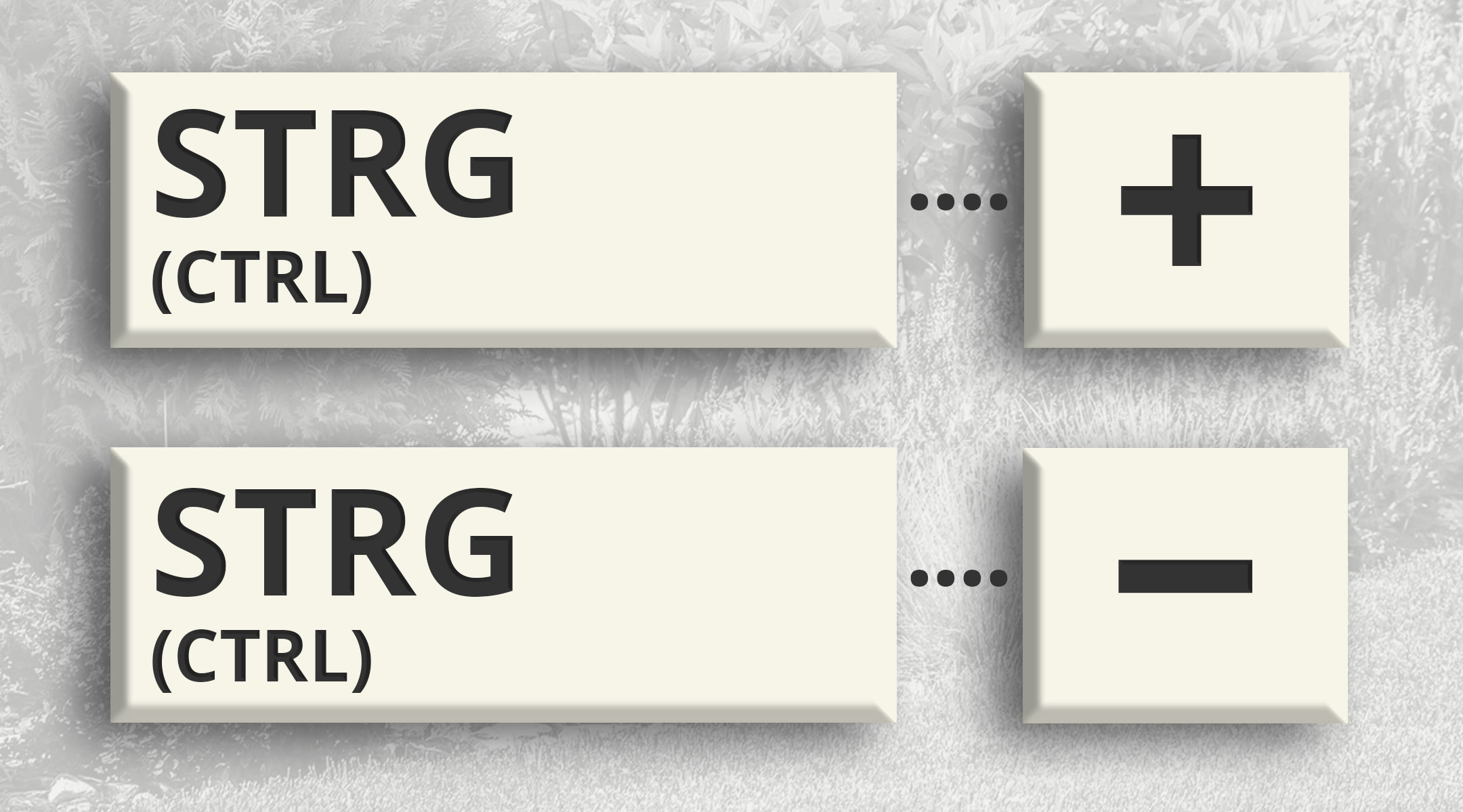 Computertaste STRG und Plus-Zeichen für Vergrößern, Taste STRG und Minus-Zeichen für Verkleinern der Seitendarstellung
